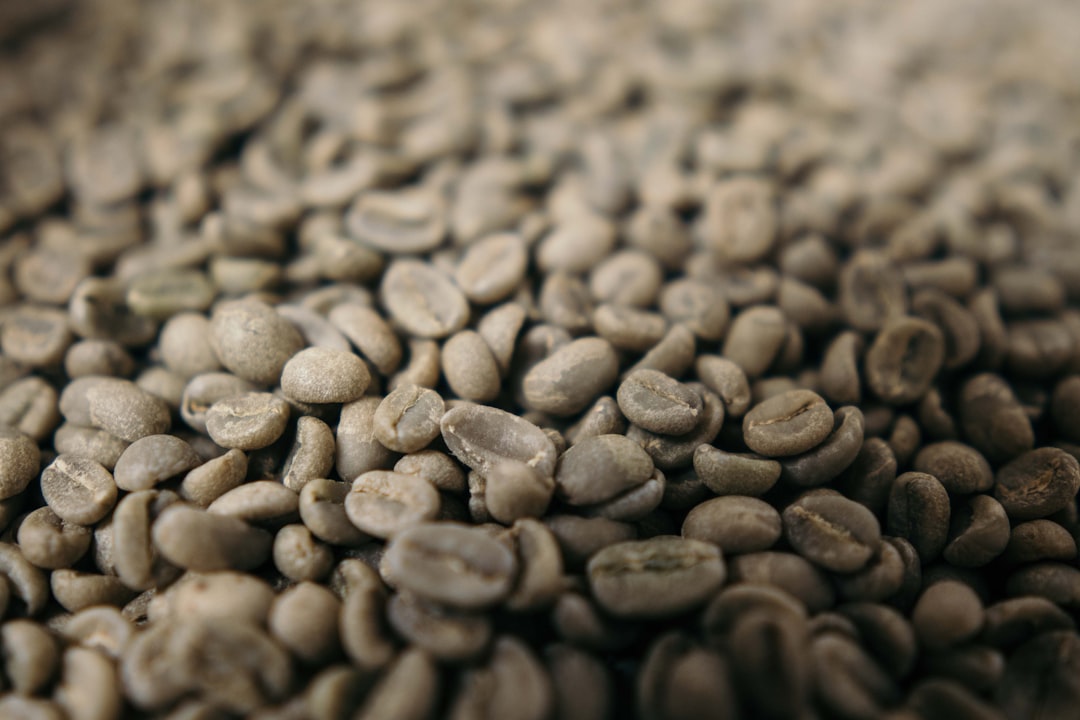 Café Brasil Santos